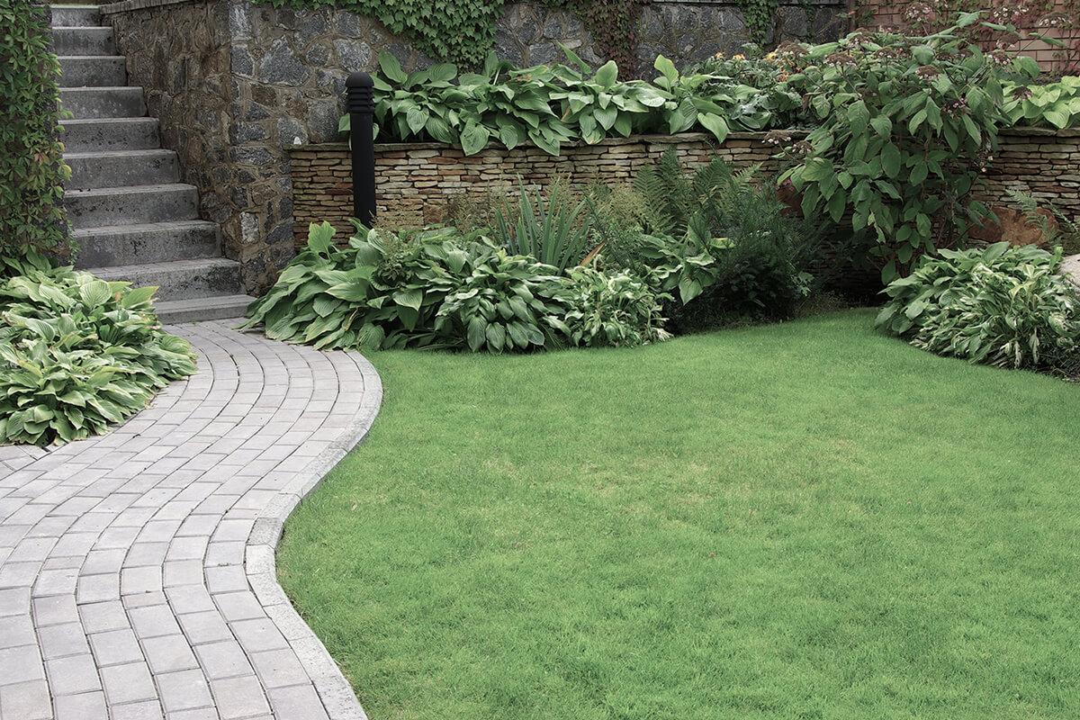 Welcome to Five Star Landscaping